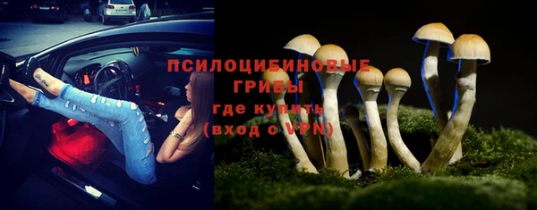 дживик Кукмор