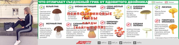 дживик Кукмор
