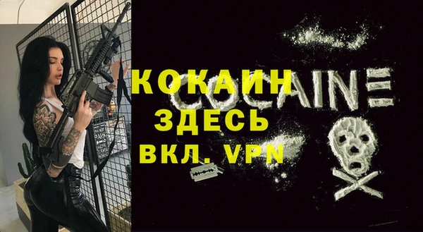 дживик Кукмор