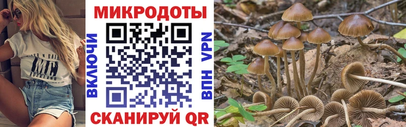 Галлюциногенные грибы прущие грибы  как найти   Сальск 